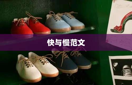 快与慢范文