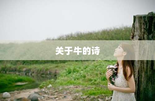 关于牛的诗