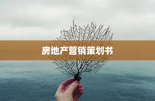 房地产营销策划书
