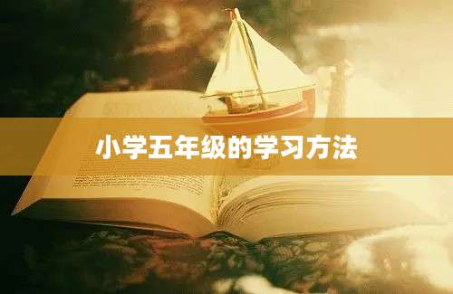 小学五年级的学习方法