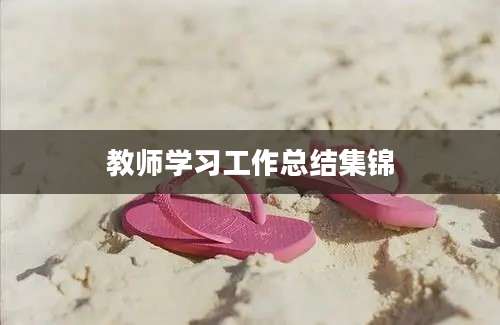 教师学习工作总结集锦