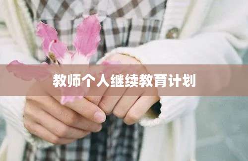 教师个人继续教育计划