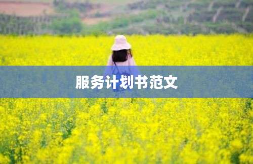 服务计划书范文