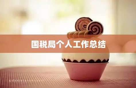 国税局个人工作总结