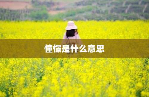 憧憬是什么意思