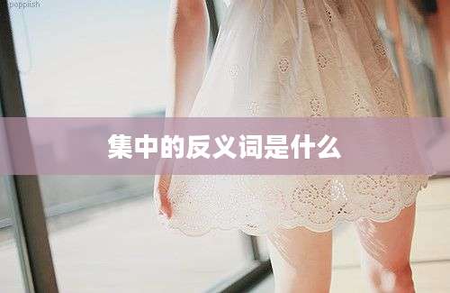 集中的反义词是什么