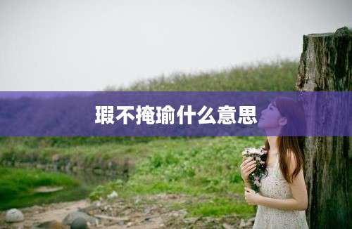 瑕不掩瑜什么意思