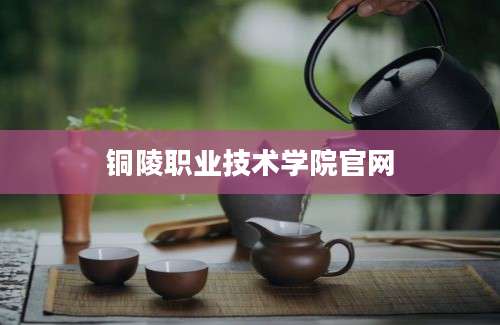 铜陵职业技术学院官网
