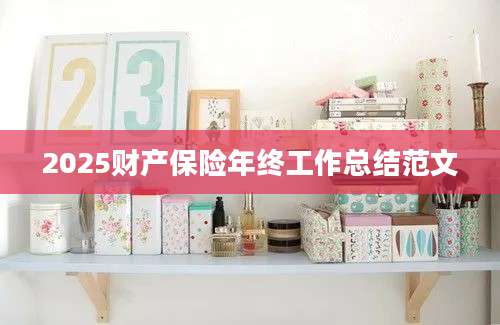2025财产保险年终工作总结范文