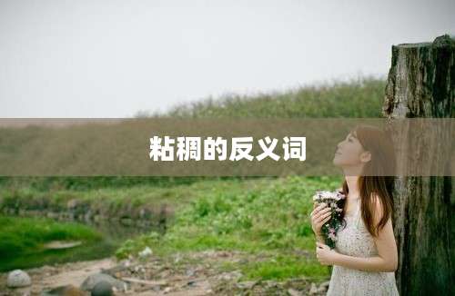 粘稠的反义词