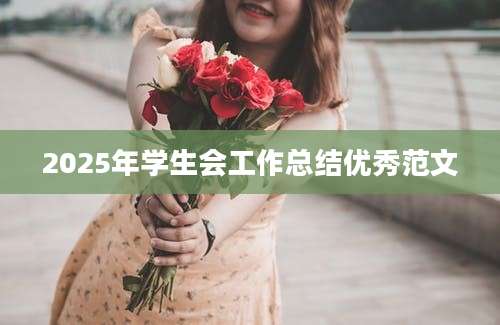 2025年学生会工作总结优秀范文