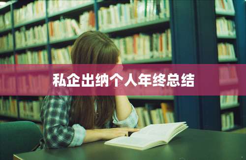 私企出纳个人年终总结