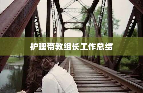 护理带教组长工作总结