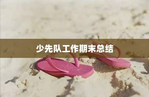 少先队工作期末总结