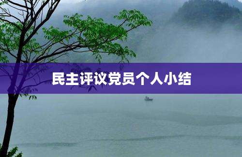 民主评议党员个人小结