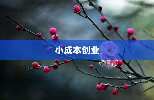 小成本创业