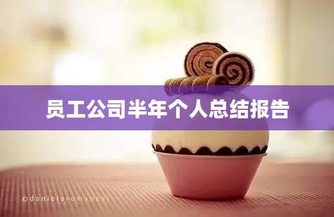 员工公司半年个人总结报告