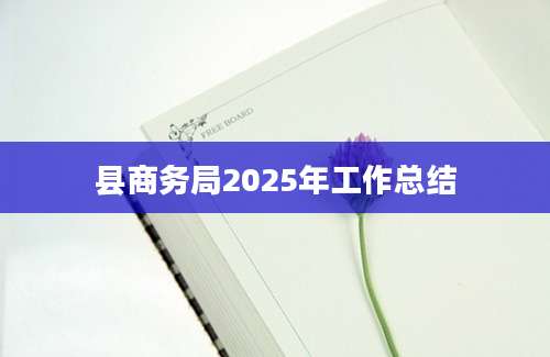县商务局2025年工作总结