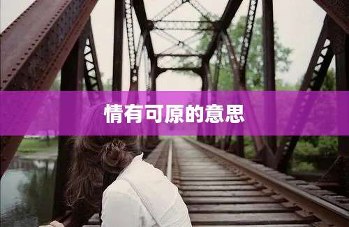 情有可原的意思
