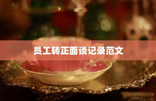 员工转正面谈记录范文