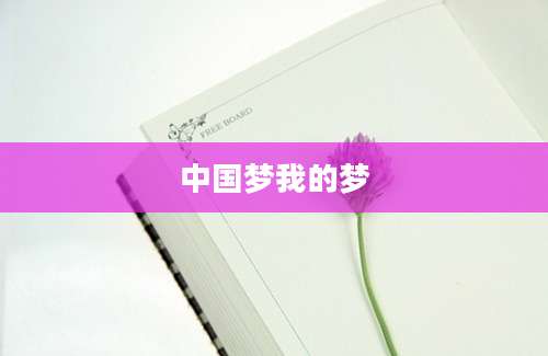 中国梦我的梦