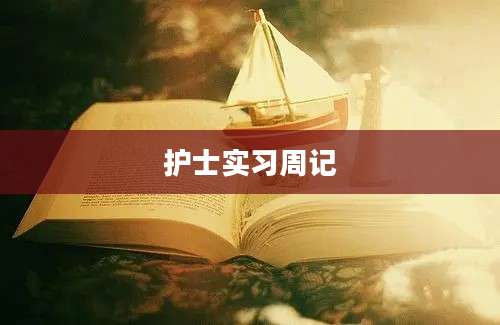 护士实习周记