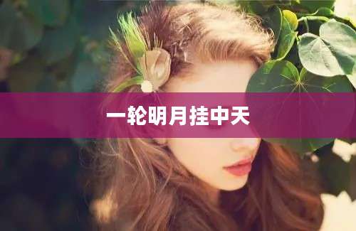 一轮明月挂中天