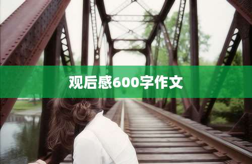 观后感600字作文