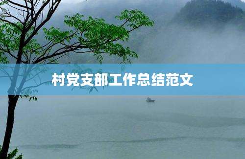 村党支部工作总结范文