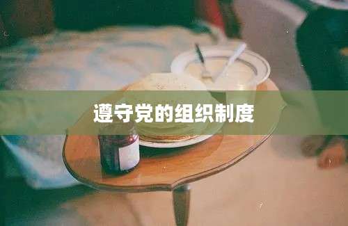 遵守党的组织制度