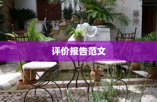 评价报告范文