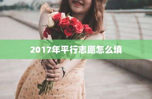 2017年平行志愿怎么填