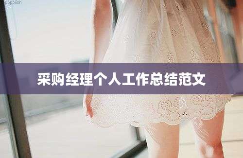 采购经理个人工作总结范文