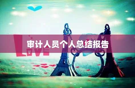 审计人员个人总结报告