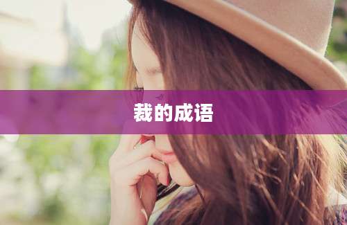 裁的成语
