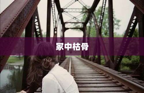 冢中枯骨