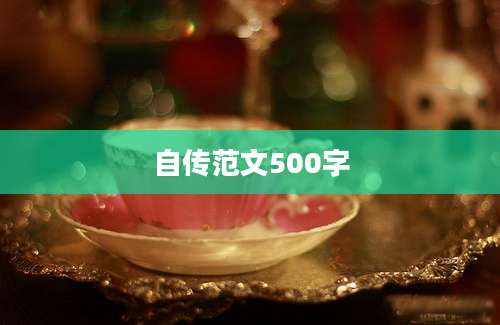 自传范文500字