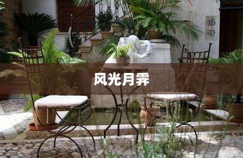 风光月霁
