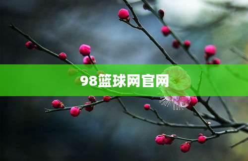 98篮球网官网