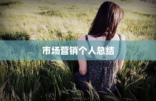 市场营销个人总结