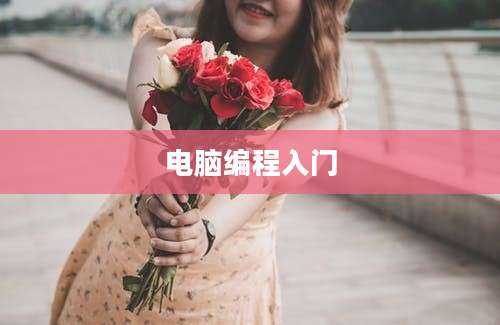 电脑编程入门