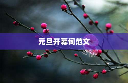 元旦开幕词范文