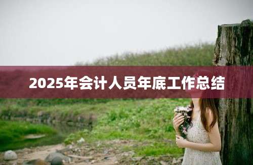2025年会计人员年底工作总结