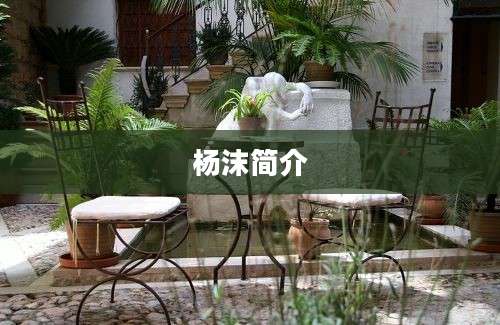 杨沫简介