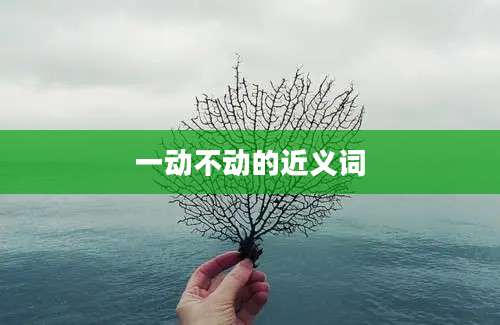 一动不动的近义词