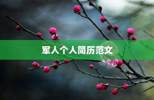 军人个人简历范文