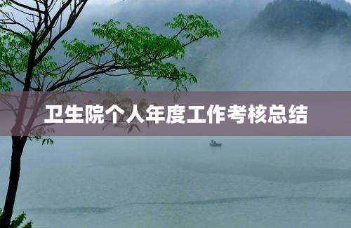 卫生院个人年度工作考核总结