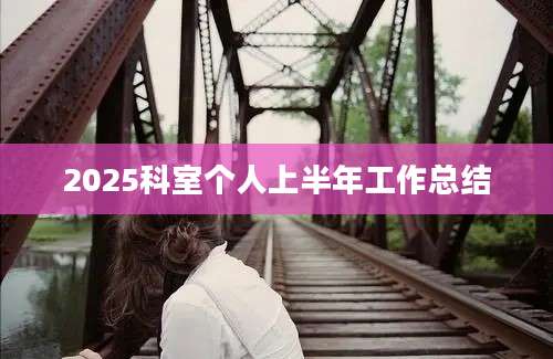 2025科室个人上半年工作总结