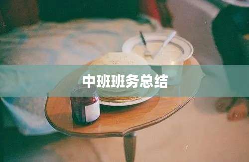 中班班务总结