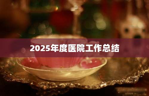 2025年度医院工作总结